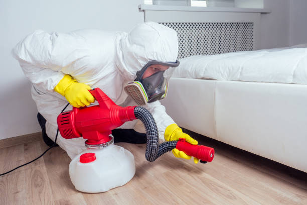Best Affordable Pest Control Services  in Siesta Key, FL